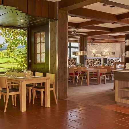 Otel H+ Willingen Willingen (Upland)