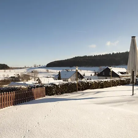 Ξενοδοχείο H+ Willingen (Upland)