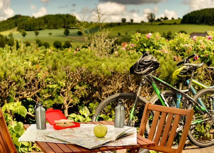 H+ Otel Willingen (Upland)