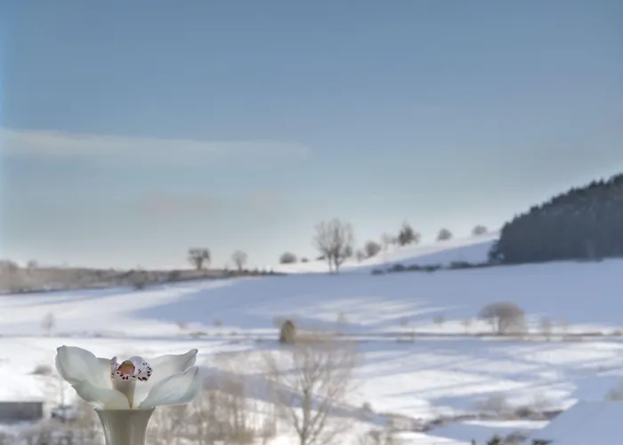 H+ Otel Willingen (Upland)