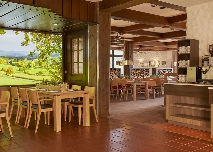 Hotell H+ Willingen (Upland)