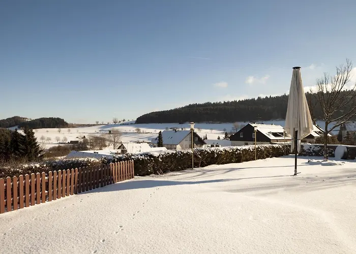 Otel H+ Willingen (Upland)